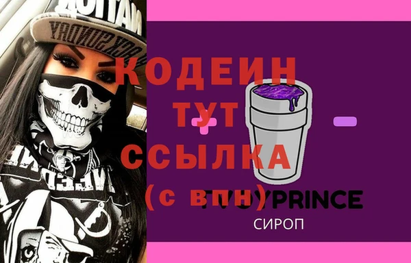 индика Абаза